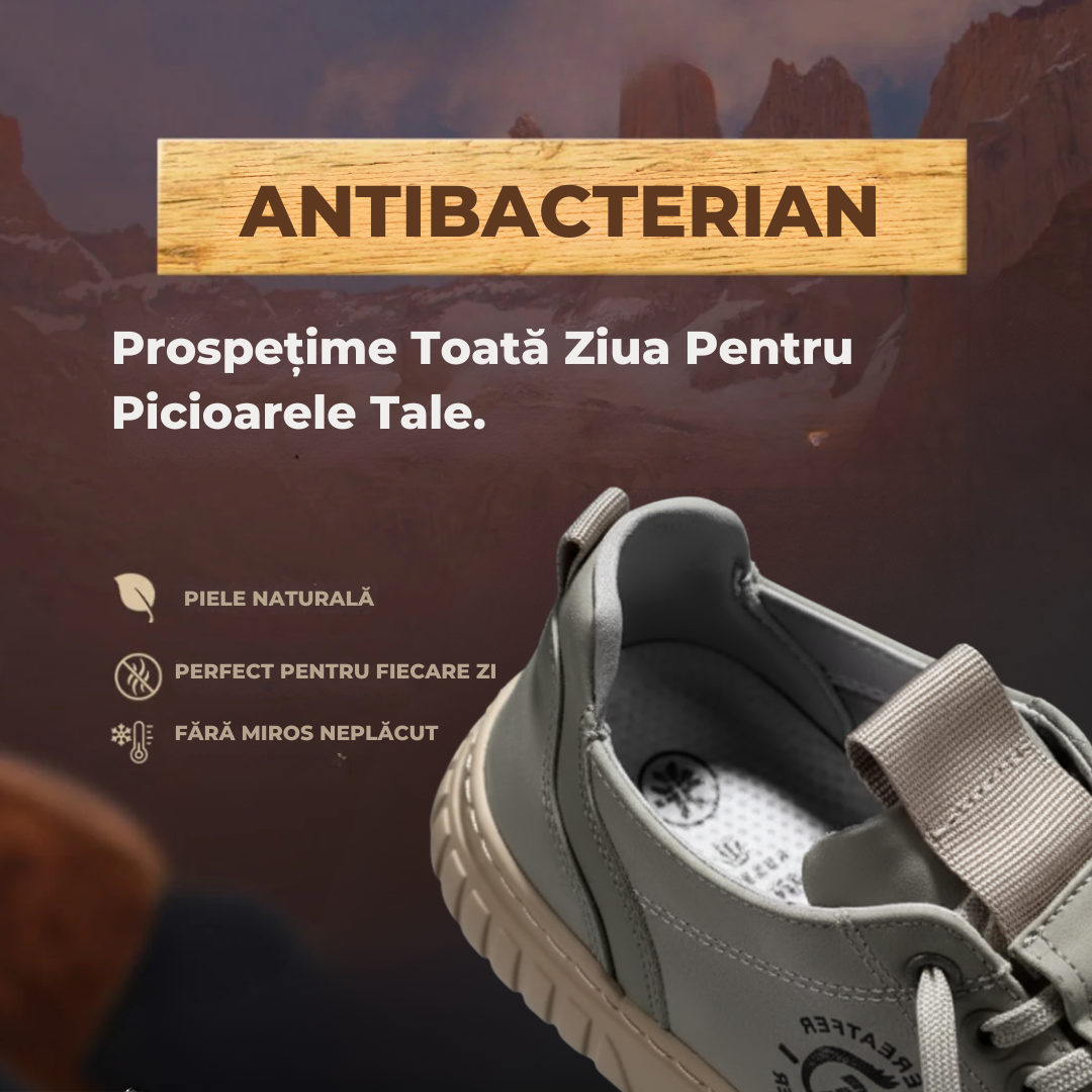 Pantofi Cindrel | Ediție Premium Limitată 2025