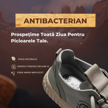 Pantofi Cindrel | Ediție Premium Limitată 2025