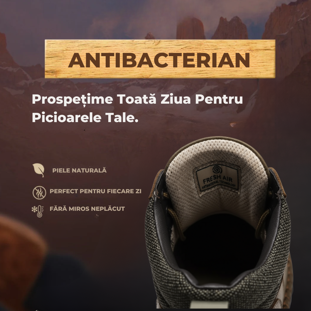 Pantofi Vlădeasa | Ediție Premium Limitată 2025