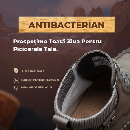 Pantofi Lotru | Ediție Premium Limitată 2025