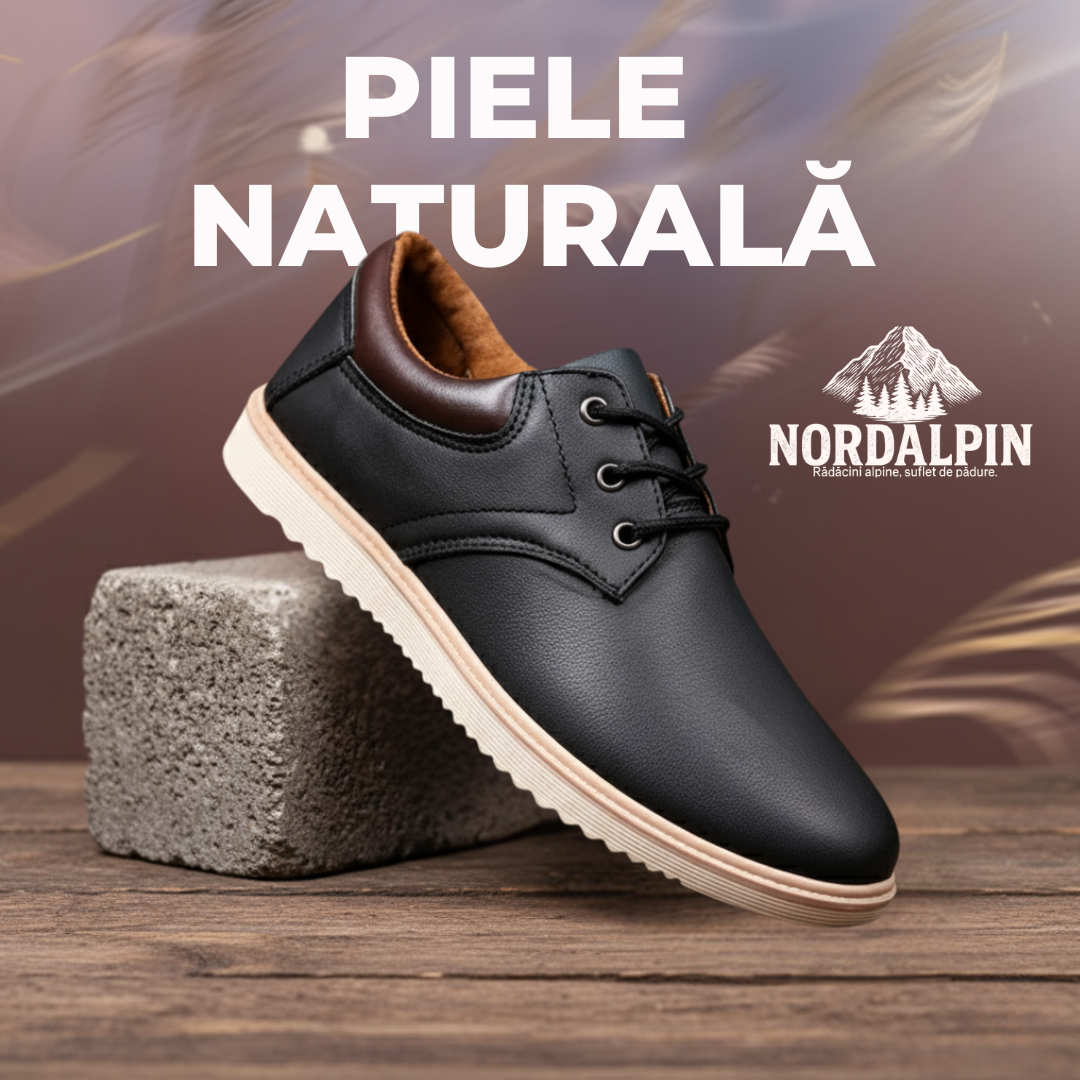 Pantofi Moldoveanu | Ediție Premium Limitată 2025