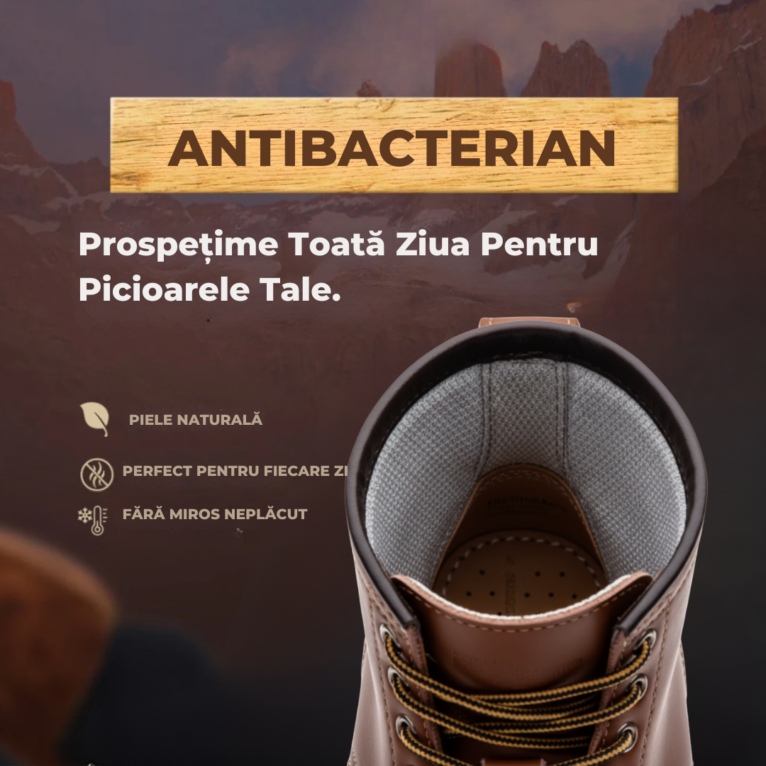 Pantofi Ceahlău | Ediție Premium Limitată 2025