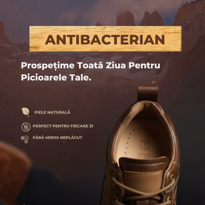 Pantofi Rodnei | Ediție Premium Limitată 2025