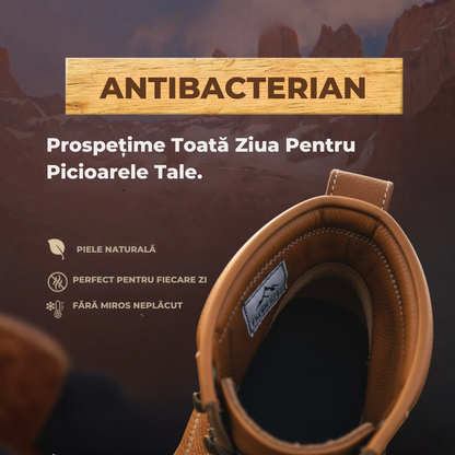 Pantofi Călimani | Ediție Premium Limitată 2025