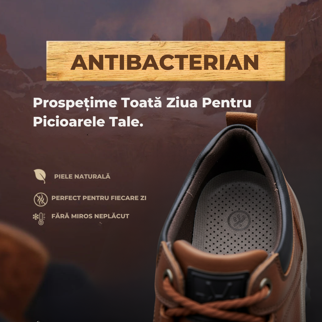 Pantofi Buila | Ediție Premium Limitată 2025