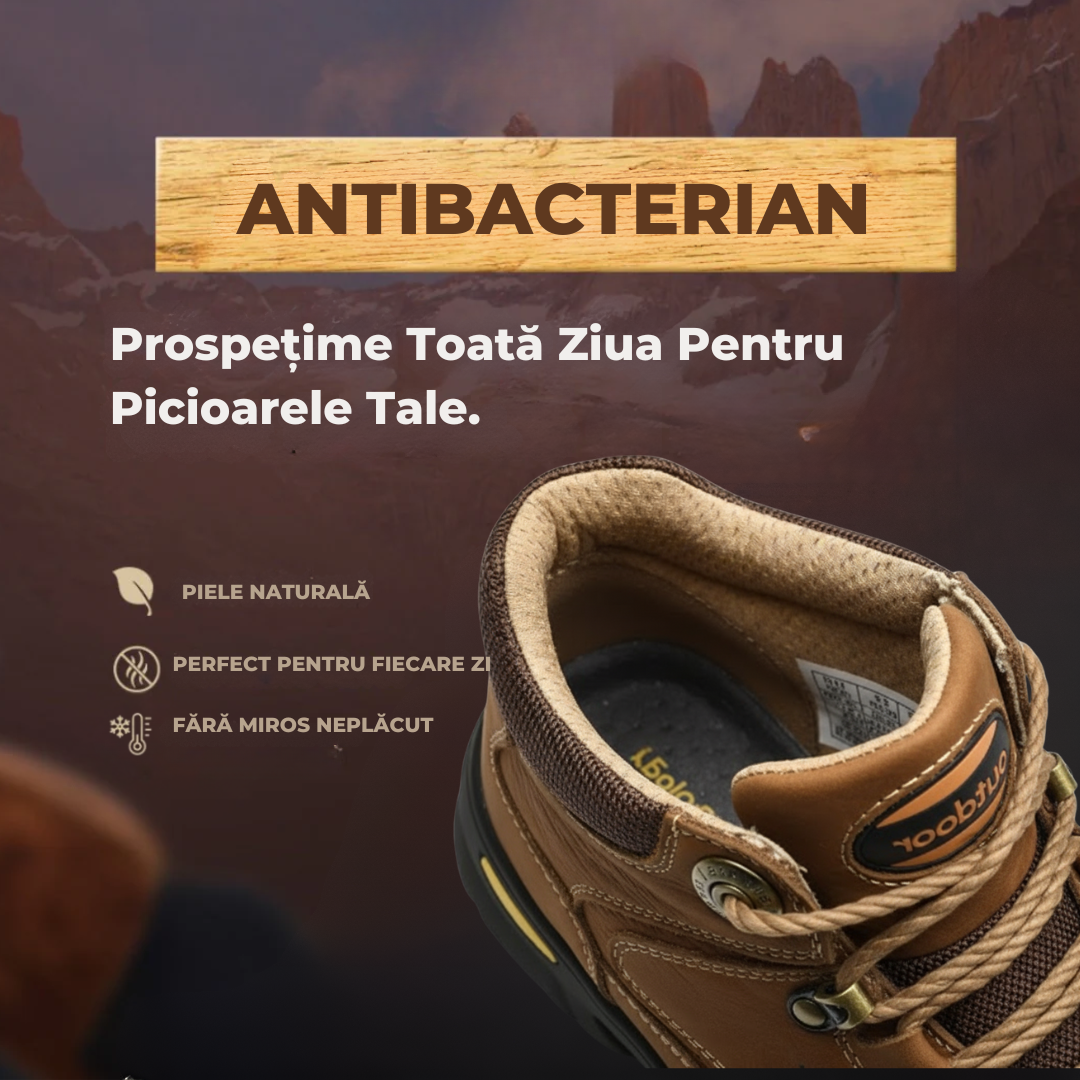 Pantofi Transilvania| Ediție Premium Limitată 2025