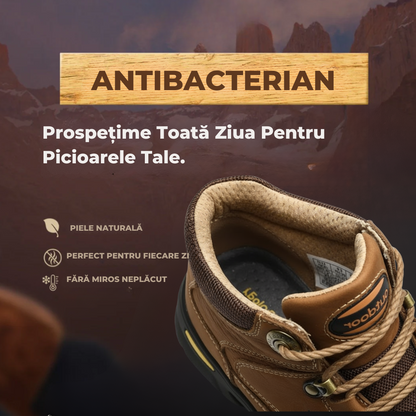 Pantofi Transilvania| Ediție Premium Limitată 2025