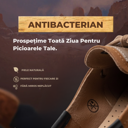 Pantofi Bihor | Ediție Premium Limitată 2025