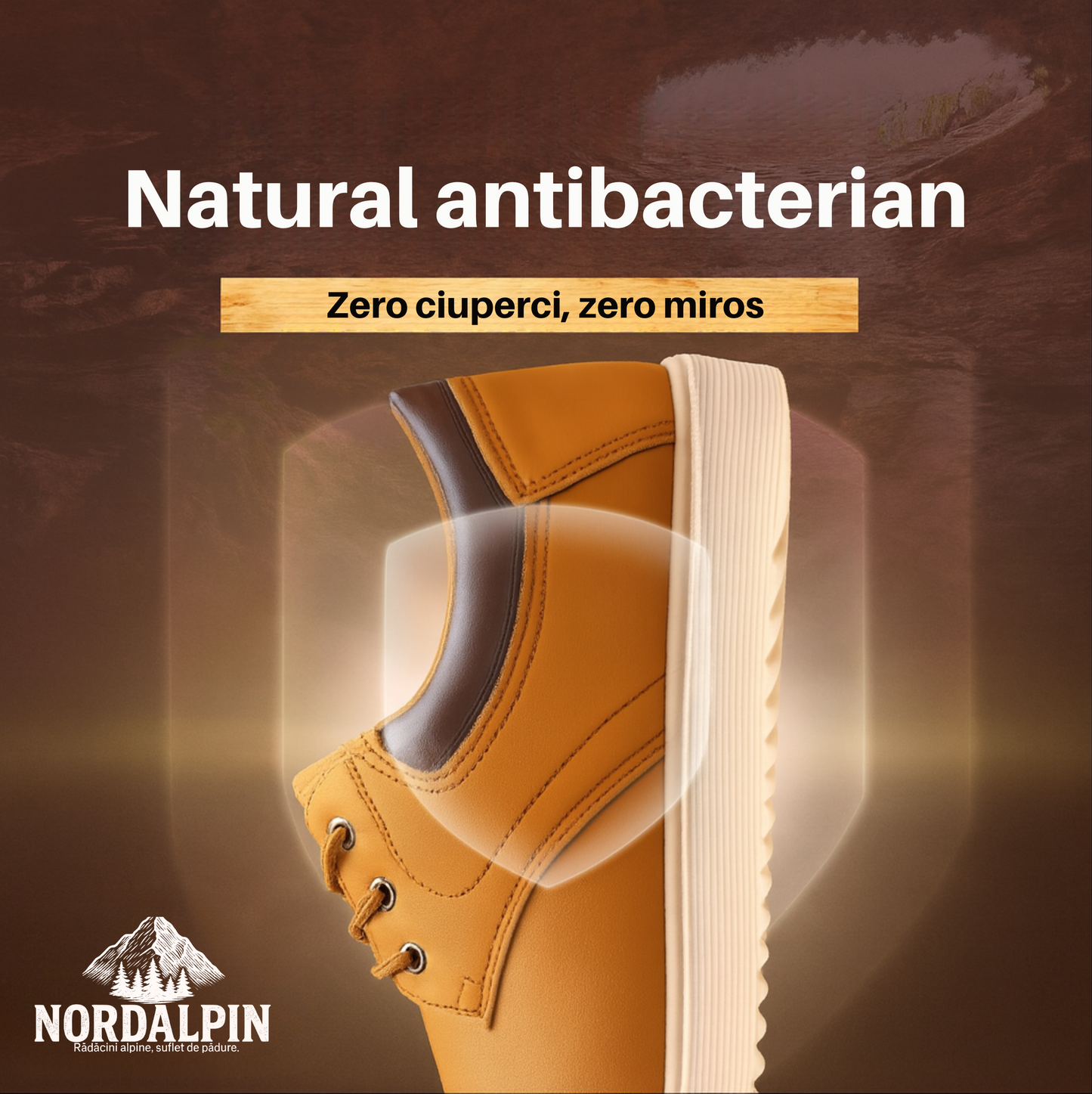 Pantofi Moldoveanu | Ediție Premium Limitată 2025